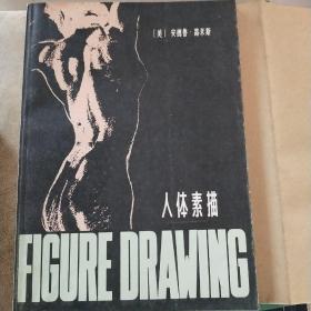 人体素描
