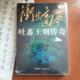 “东向长安”系列丛书·冲出高原：吐蕃王朝传奇（原创白金版）