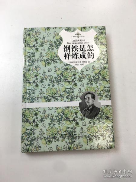 钢铁是怎样炼成的（精装插图典藏本）