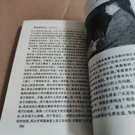 我的父亲邓小平：文革岁月