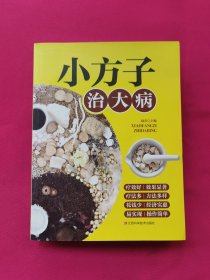 小方子治大病 中医书籍养生偏方大全民间老偏方美容养颜常见病防治 保健食疗偏方秘方大全小偏方老偏方中医健康养生保健疗法