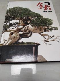 盆栽藝術(shù) 有簽名等 請(qǐng)自鑒