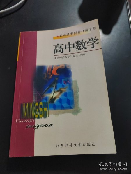 名师典型例题详解手册.高中数学