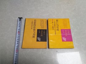 （五四与现代中国丛书）救亡与传统，启蒙的价值与局限