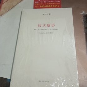 阅读魅影 寻找后本雅明精神