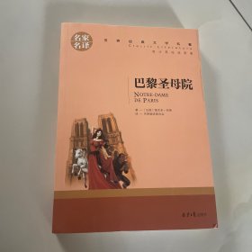 巴黎圣母院 名家名译世界经典文学名著 原汁源味读原著