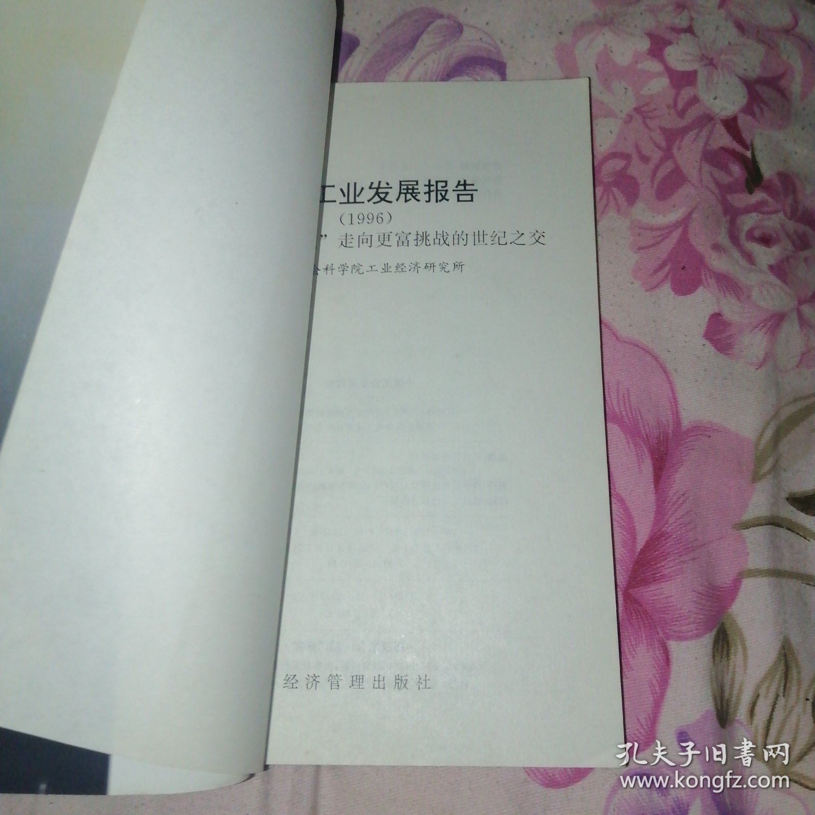 中国工业发展报告:从辉煌的“八五”走向更富挑战的世纪之交.1996