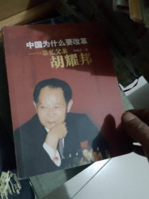 中国为什么要改革：思忆父亲胡耀邦