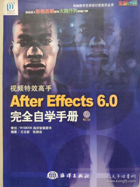 视频特效高手After Effects 6.0完全自学手册