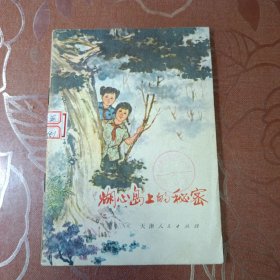 湖心岛上的秘密