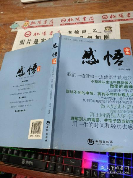 感悟全集：关于做人、处事、原则、心态的忠告 有水印 破损