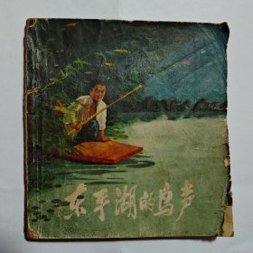 东平湖的鸟声