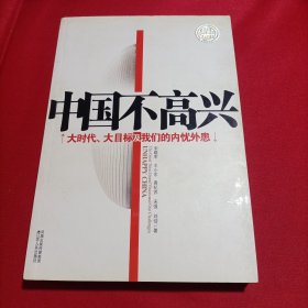 中国不高兴：大时代大目标及我们的内忧外患（内页干净）