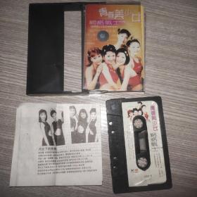 青春美少女之网络战士磁带