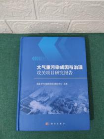 大气重污染成因与治理攻关项目研究报告