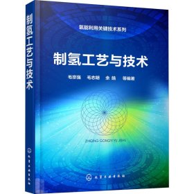 氢能利用关键技术系列--制氢工艺与技术