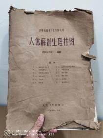 （主要供培训半农半医试用）人体解剖生理挂图（共12幅图 图纸全开）1965年版