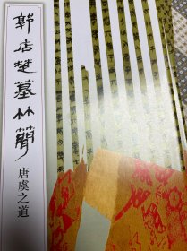 郭店楚墓竹简（15册全）