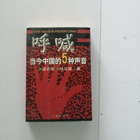 呼喊：当今中国的5种声音