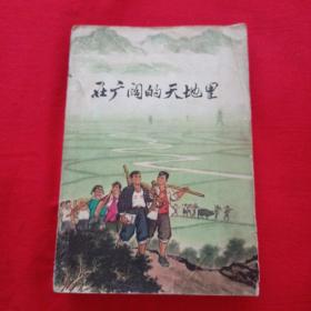 在广阔的天地里