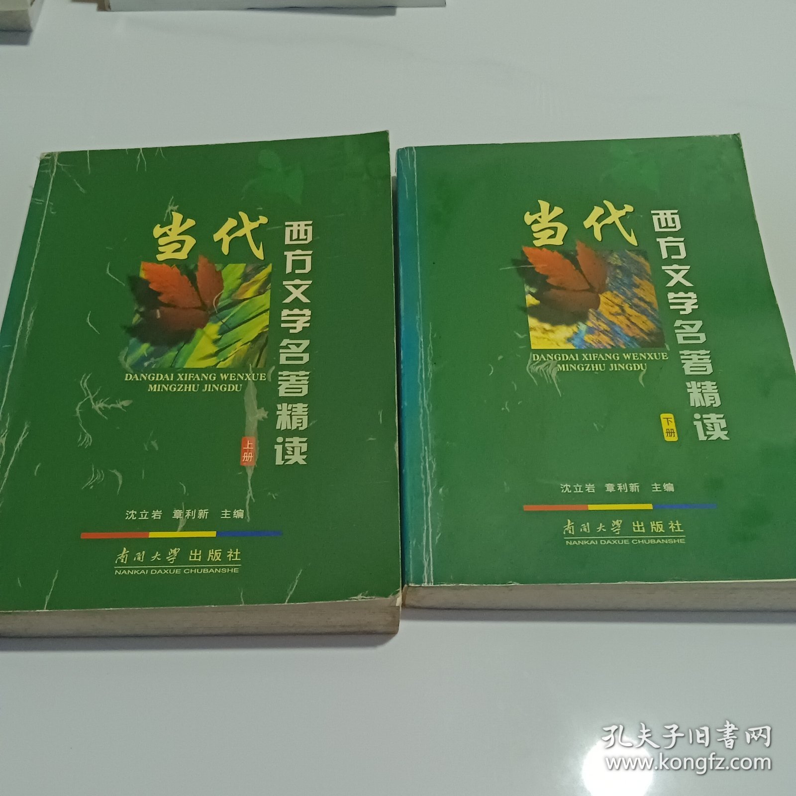 当代西方文学名著精读（上下册）
