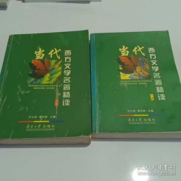 当代西方文学名著精读（上下册）