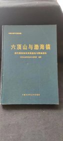 六顶山与渤海镇:唐代渤海国的贵族墓地与都城遗址