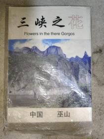 《三峡之花》旅游纪念折