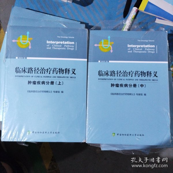 临床路径治疗药物释义 肿瘤疾病分册(中) 2018年版 临床路径治疗药物释义专家组 著 临床路径治疗药物释义专家组 编  