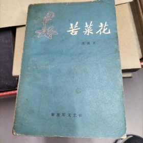 苦菜花