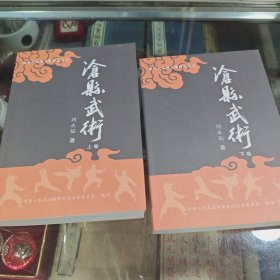沧县武术 上下