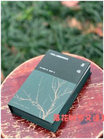 海外中国研究丛书 《墨梅：一种文人画题材的形成》