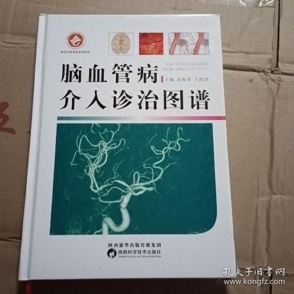 脑血管病介入诊治图谱