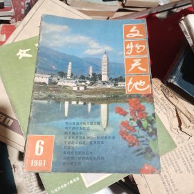 文物天地 1981年第6期(挖掘文物 发现历史 详见目录