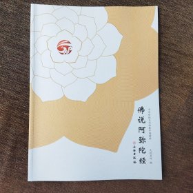 中华传统文化临摹字帖精粹 佛说阿弥陀经