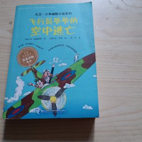 飞行员爷爷的空中逃亡/大卫·少年幽默小说系列