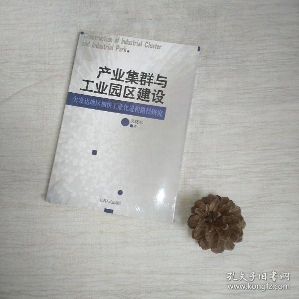 产业集群与工业园区建设：欠发达地区加快工业化进程路径研究