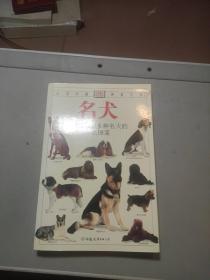 名犬：全世界300多种名犬的彩色图鉴