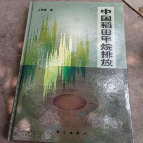 中国稻田甲烷排放