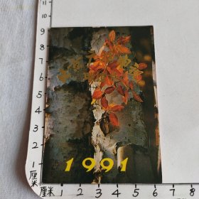 1991年年历卡片 （北京广播电视联谊卡）