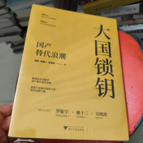 大国锁钥：国产替代浪潮 未拆封