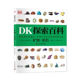 DK探索百科 矿物 岩石