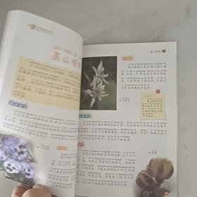 我的第一套百科全书：植物世界