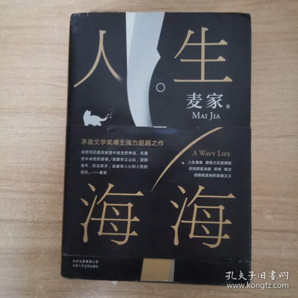 麦家：人生海海（茅盾文学奖得主麦家2019年强力之作）