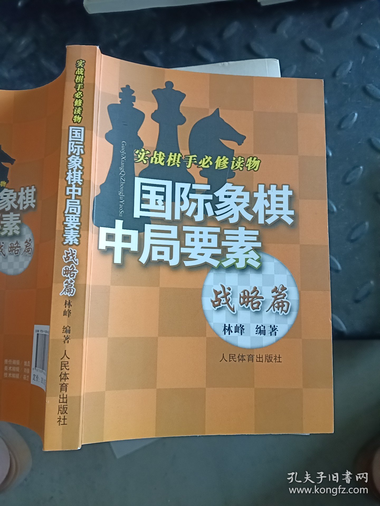 实践棋手必修读物：国际象棋中局要素 战略篇