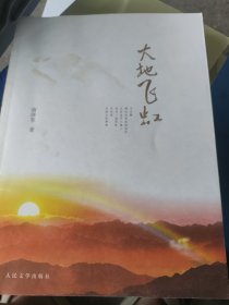大地飞虹