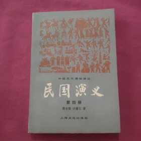 民国演义第四册