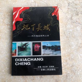 地下长城：冉庄地道战风云录