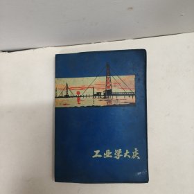 1978年10月“涟源地区财贸学大庆学大寨纪念”日记本。
