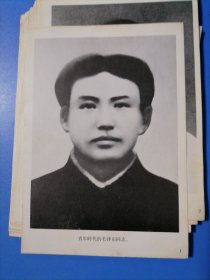 毛泽东不同时期照片。印刷品。